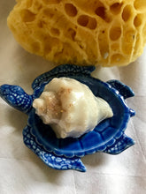 Conch Shell soap